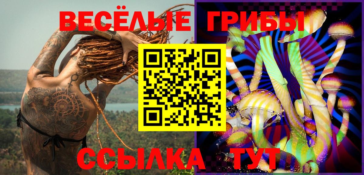 Псилоцибиновые грибы мухоморы  Вход с VPN  как найти   Дербент 