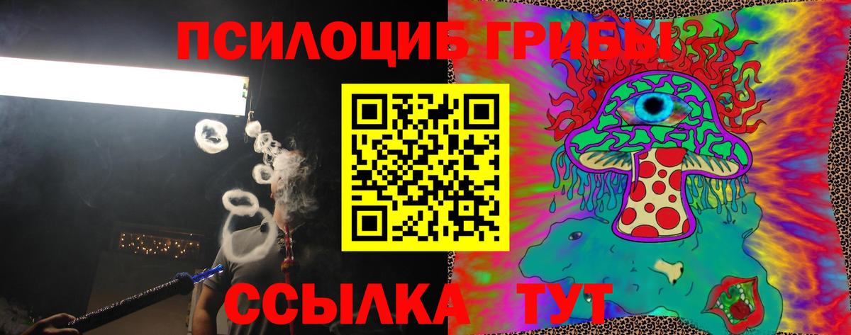 Псилоцибиновые грибы прущие грибы Дербент